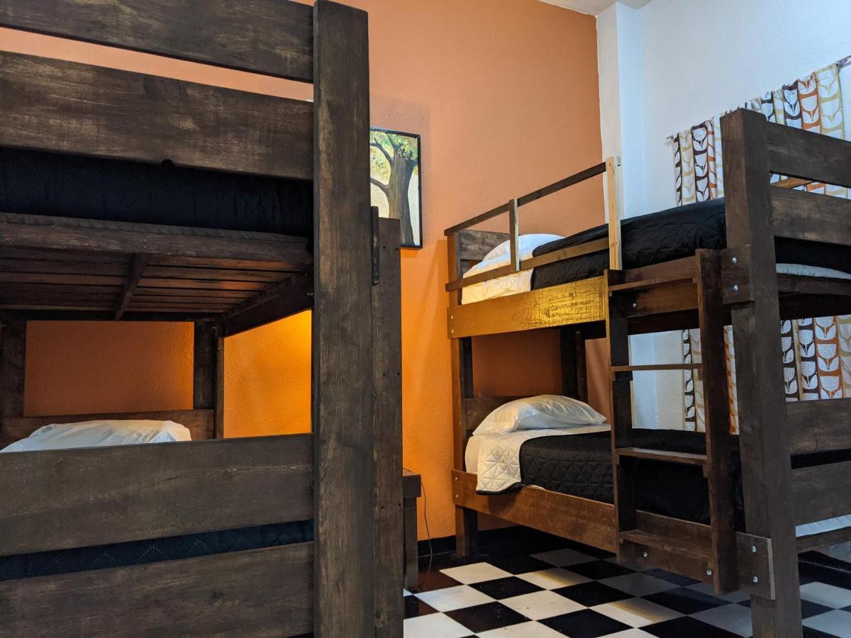 My Family In Monterrey - Hostel Extérieur photo
