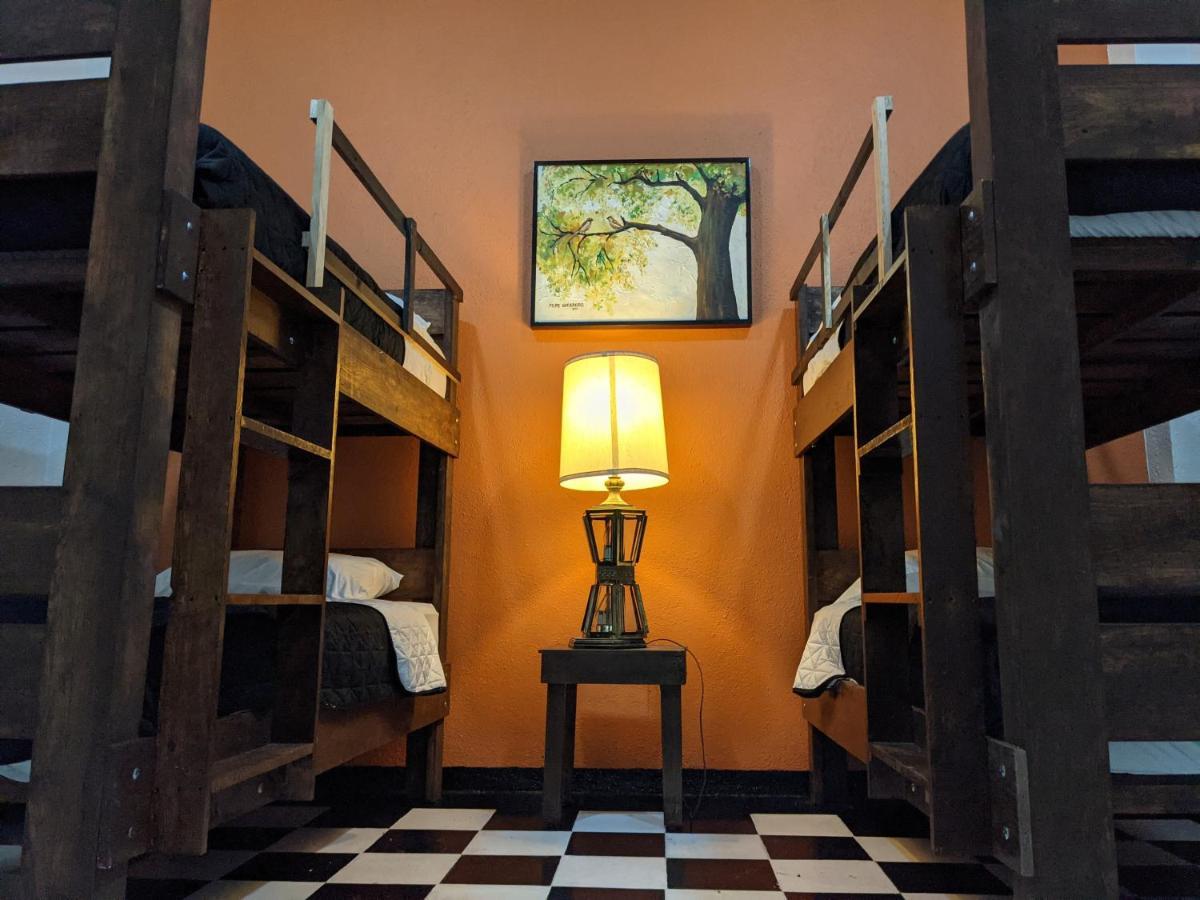 My Family In Monterrey - Hostel Extérieur photo