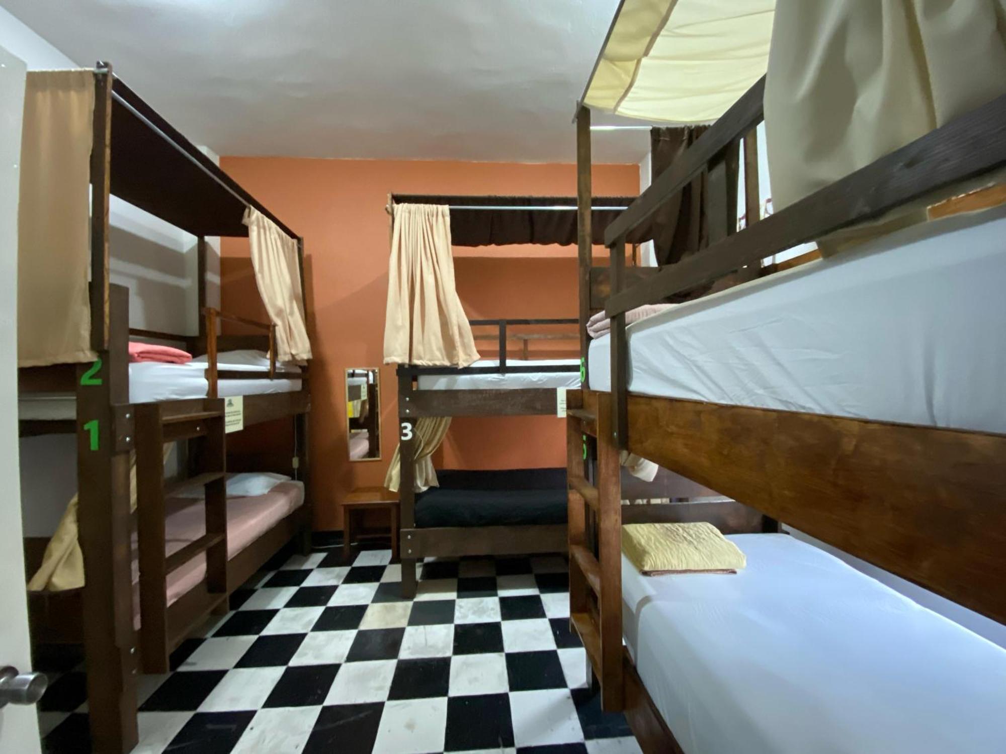 My Family In Monterrey - Hostel Extérieur photo
